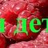 100 слов для детей 1 3 года Развивающие мультики для детей 2 часть из 4