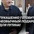 Лукашенко готовит необычный подарок для Путина лукашенко путин новости политика беларусь