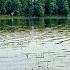 НАЛОВИЛИ ЩУК НЕВОДОМ УДАЧНО ПРОЦЕДИЛИ ВОДОЕМ РЫБАЛКА УДАЛАСЬ невод рыбалка лайк