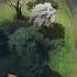 Иду вниз Golovach Dota 2