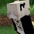 Почему ты ее любишь Потому что у нее кампусы Village Show деревня333 майнкрафт Minecraft