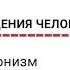 Биология поведения человека Лекция 21 Хаос и редукционизм Роберт Сапольски 2010 Стэнфорд