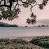Your Name Aesthetic Edit EditAMV Anime Demonslayer Shorts Trendingshorts Nature