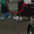 I Really Didn T Expect JKs Mom To Be At Jhope S Concert I Was So Surprised Bts Jk Hos Tour Seoul