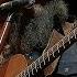 Chris Stapleton Austin City Limits Music Festival 2024 Full Set