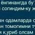 СОГИНДИМ