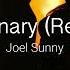 Luminary Remix With Extended Chorus Joel Sunny