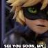 We Love When She Calls Him That Too Miraculous Ladybug Miraculousladybug Catnoir Ladynoir