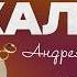 Книга жалоб Андрея Айрапетова выпуск 17