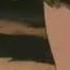 Ready As I Ll Ever Be Inuyasha AMV