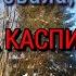 Царица пошехонская сыскалась Командовать дома будешь зятем своим который есть алкаш и бездельник