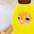 Hi I M Baldie Nice To Meet Ya