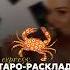 ТАРО прогноз на АВГУСТ 2023 для знака зодиака РАК Tarot Tarotreading раскладтаро таро