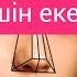 НЕ ҮШІН 2 ТЕСІК Farabi