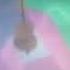 Mad Twience Full Song