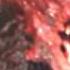 Godzilla Vs Destroyah
