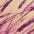 Easy Sunset Grasses Acrylic Painting LIVE Tutorial