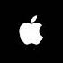 Shape Of You Marimba Remix FREE MP3
