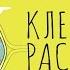 1 Клетка растения Анатомия растений 5 6 класс