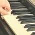 Ich Bin Jung Und Du Bist Alt Shorts Piano Cover