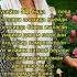 Келинликка Номзот Rek Andijon Fup Buxoro Duet Ergategaman Xorazm Love Erkerak