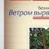 Русский 6 класс Безличные глаголы