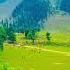 HEAVEN ON EARTH KASHMIR Kashmir Valley Viral Kashmiri Pahalgham Gulmarg Sonamarg Kashmirvalley Valey