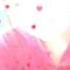 Winaei Maxabat D Love G Love