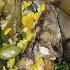 Law Uy Napod Ta Guys Filipinofood Food Gulay Fyp Shortsfeed