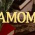 An Unexpected End Chamomile Official Music Video