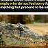Origin Of Crocodile Tears