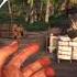 Far Cry 3 Сжигание плантаций