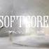 Softcore The Neighborhood Speed Up