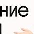 Строение клетки Биология ЕГЭ Даниил Дарвин Вебиум