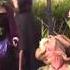 Witches Dance Hillsdale NY