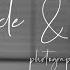Dicle Feris Menajerimi Ara Photograph Their Story