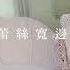 深V蕾絲內衣 寬邊哺乳內衣
