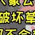 回形针大象公社被封号 假科普被团灭 袁腾飞美国老板谷岳违法破坏草原被举报 假环保真破坏 公知都不配拥有未来