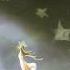 You Ve Lost That Feelin Righteous Brothers S Song Urselle Free New Album 2016