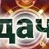 ПОЦЕЛУЙ МЕНЯ УДАЧА ЖУДА ХАМ ЧИРОЙЛИ РУСЧА КУШИК