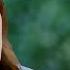 Full Moon Episode 1 English Subtitle Dolunay