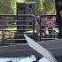 Pretty Girl DJ Set Coachella S The Do LaB