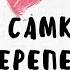 Перепел самка Самец перепел Как определить пол у перепелов МОИ перепела