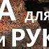 Кора для орхидей своими руками Три способа обработки