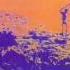 Pink Floyd Cymbaline From More 2011 Remastered