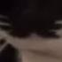 Maxwell Song Sped Up