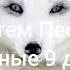 Тотем Песец рождённые 9 декабря