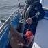 Diawa Seaborg Electric Reel Rock Fishing The Farallon Islands