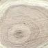 New Quick And Easy Woodturning For Gifts Or Sale Wood Turning