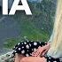 The BEST Place In SOCHI RUSSIA